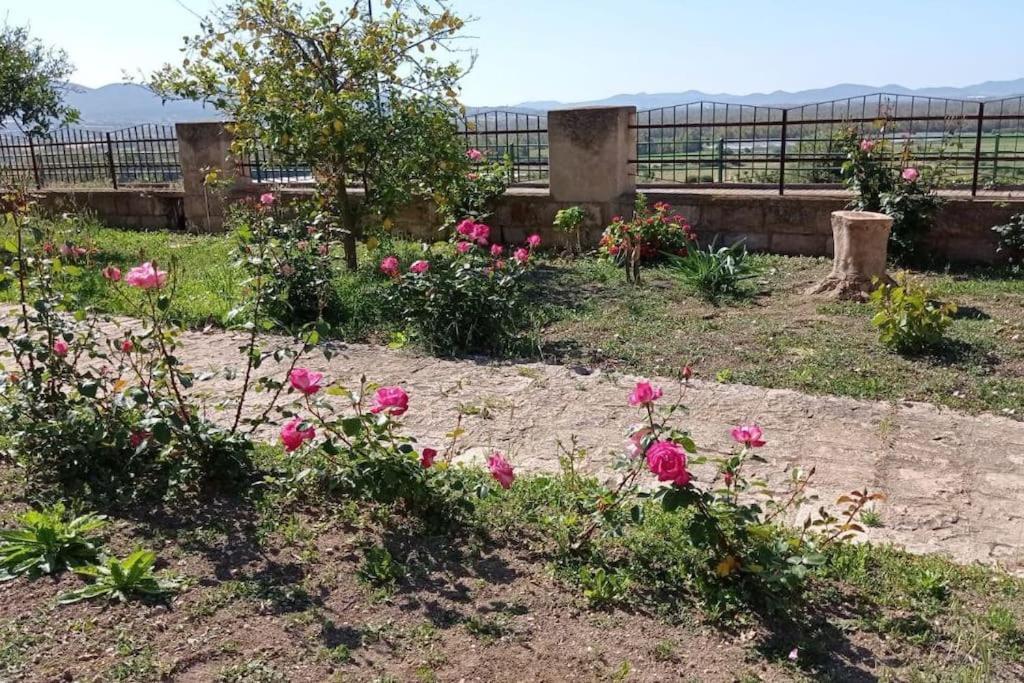 Villarios Casa Bellavistaヴィラ エクステリア 写真