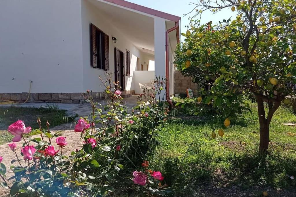 Villarios Casa Bellavistaヴィラ エクステリア 写真